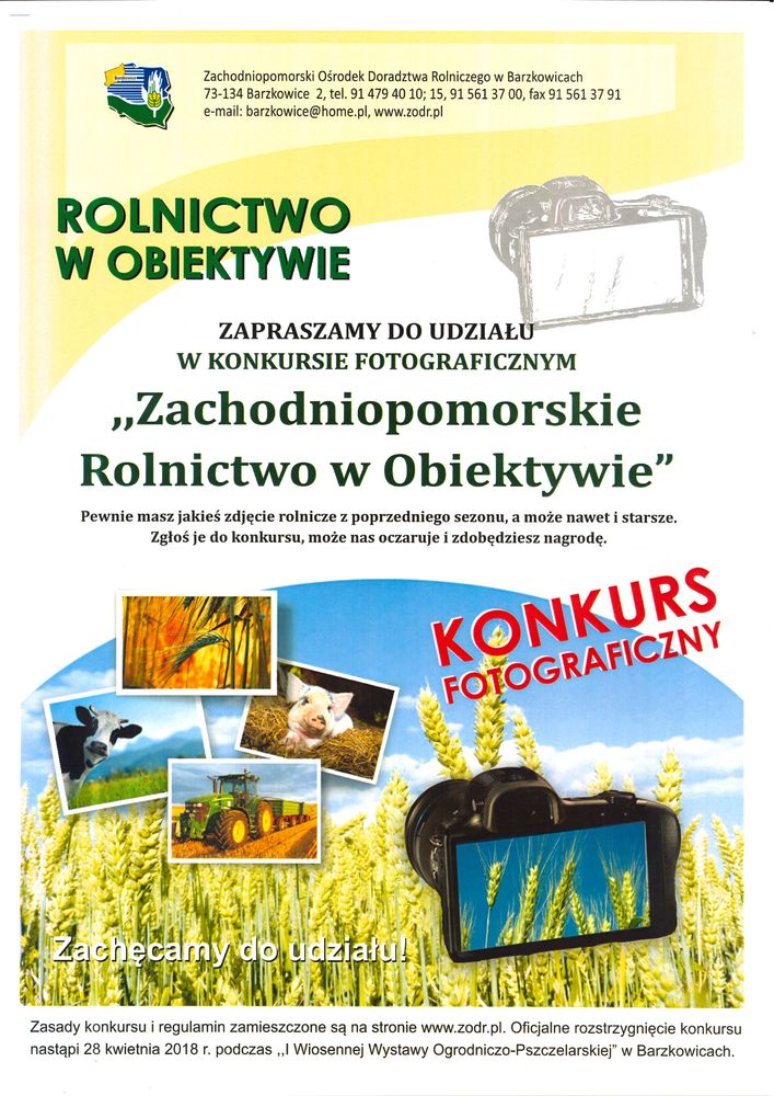 Zapraszamy